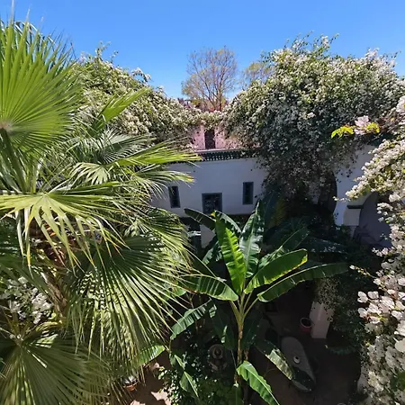 Riad Maison Bounouar-3